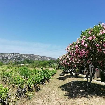 Maison A Louer En Ardeche Du Sud Saint-Martin-dʼArdèche Dış mekan fotoğraf
